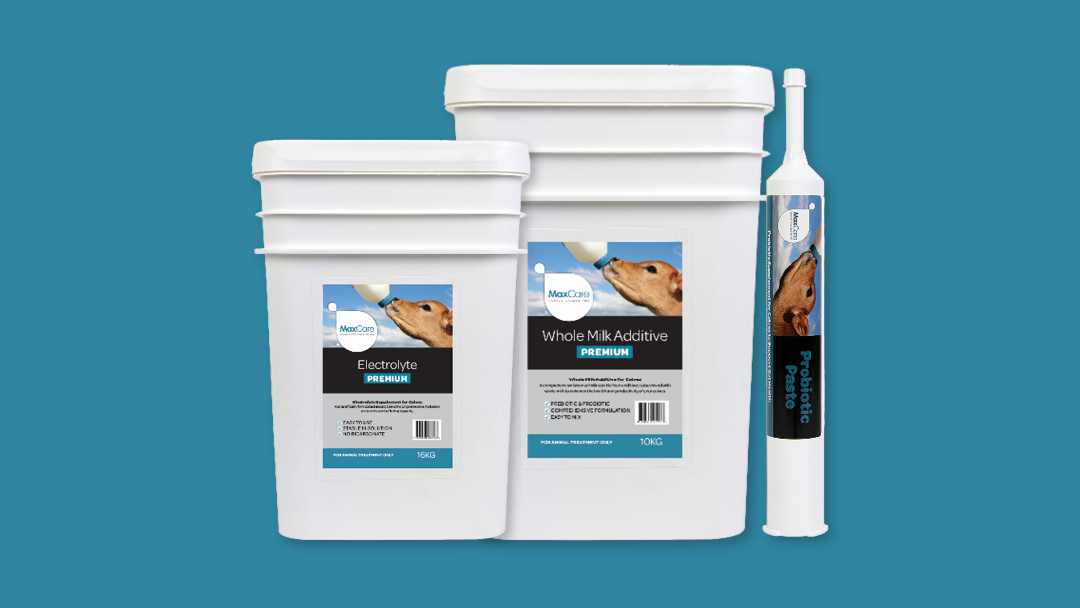 MaxCare New Products